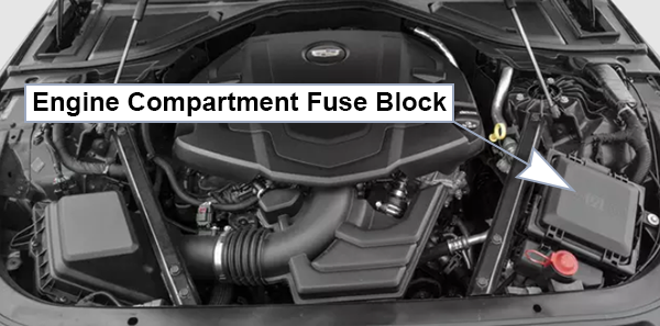 Cadillac CT6 (2016-2018): Engine compartment fuse box location