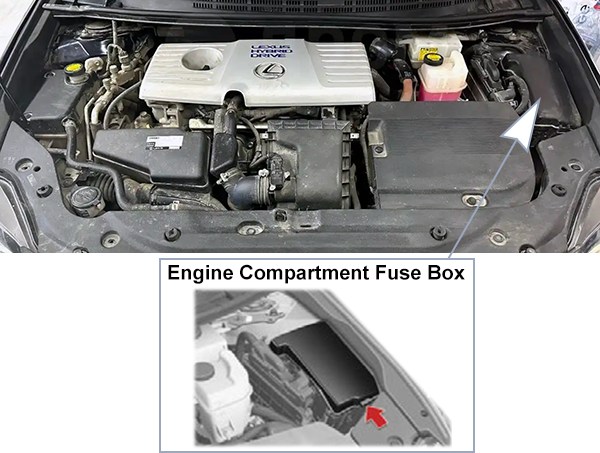 Lexus CT 200H (2011-2013): Engine compartment fuse box location