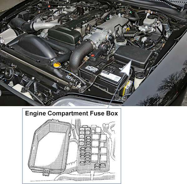 Toyota Supra (A80; 1994-1998): Engine compartment fuse box location