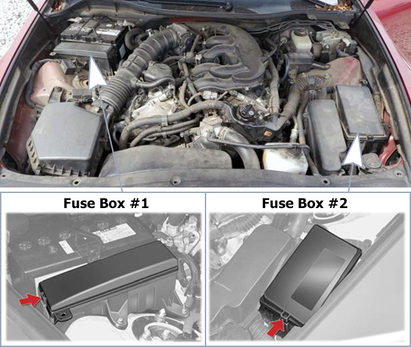 Lexus GS350 & GS460 (2008-2011): Engine compartment fuse box location