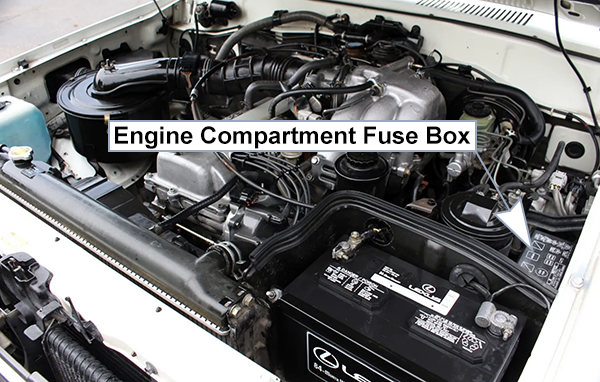 Lexus LX450 (J80; 1996-1997): Engine compartment fuse box location