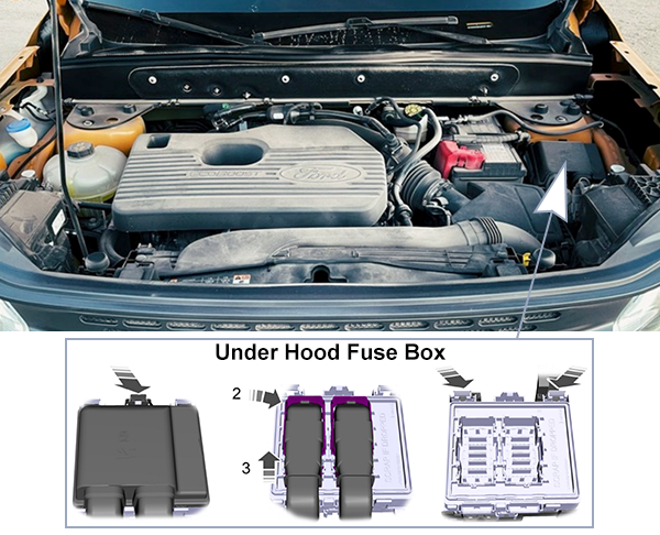 Ford Bronco Sport (2021-2024): Under-hood compartment fuse box location