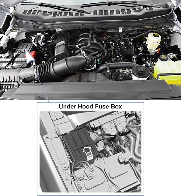 Ford F-250 / F-350 / F-450 / F-550 / F-600 (2023-2024): Under-hood compartment fuse box location