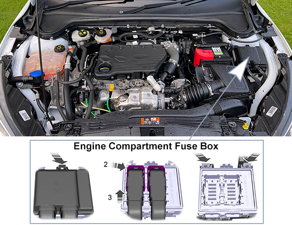 Ford Focus (EU) (C519; 2019-2021): Engine compartment fuse box location