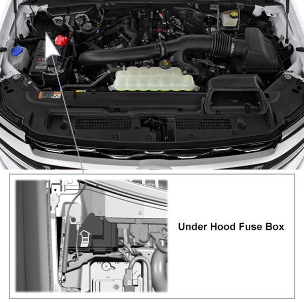 Ford Expedition (2022-2024): Under-hood compartment fuse box location